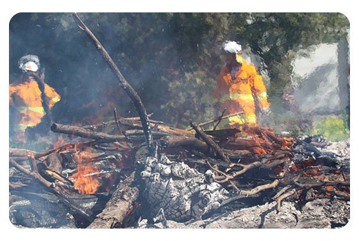 fire-damage2